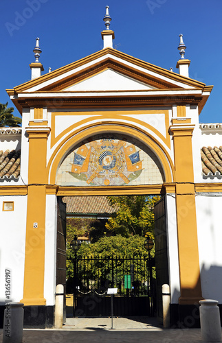 Casa Palacio de las Dueñas, Sevilla, España photo