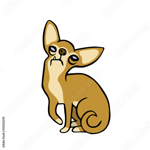 Funny Chihuahua Dog Isolated Vector Illustration. Cute Cartoon Fur Character. 