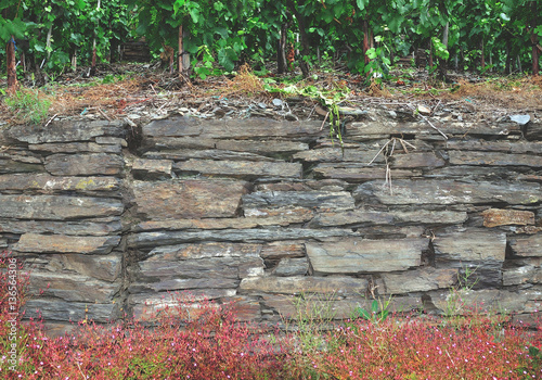 gemauerte Weinterrassen im Ahrtal,Rheinland-Pfalz,Deutschland