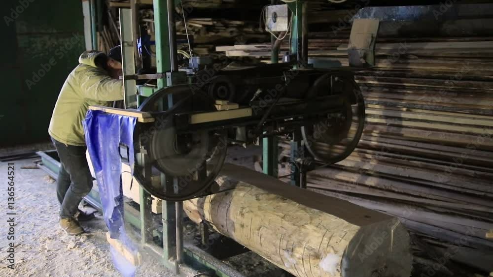 Sawmill. The process of cutting logs into boards Sawmill. The process of cutting logs into boards