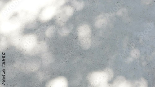 tree shadow