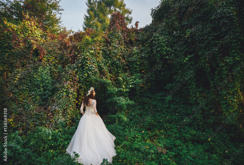 Wondering bride surrounded by the green wild grape Wondering bride surrounded by the green wild grape