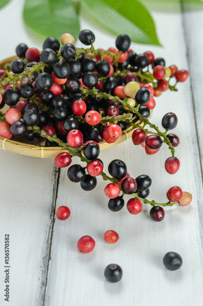 Thai Blueberry fruits Thai Blueberry fruits