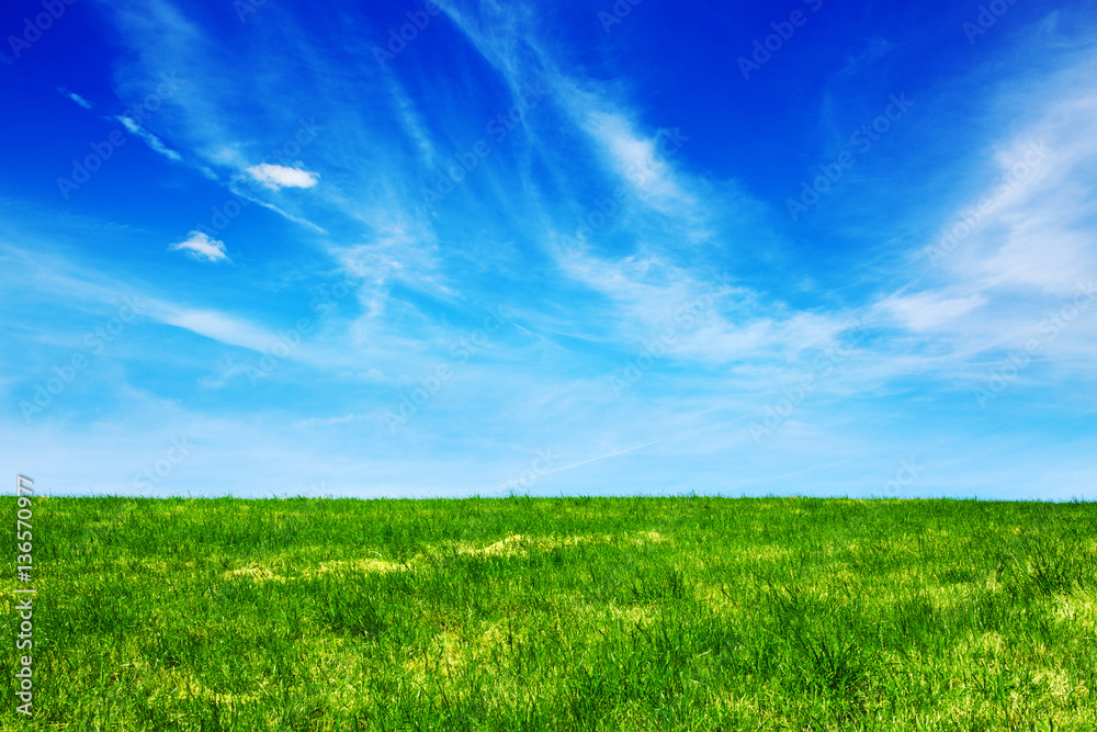 Obraz premium Green fild against the blue sky