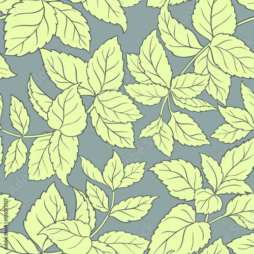 melissa vector pattern
