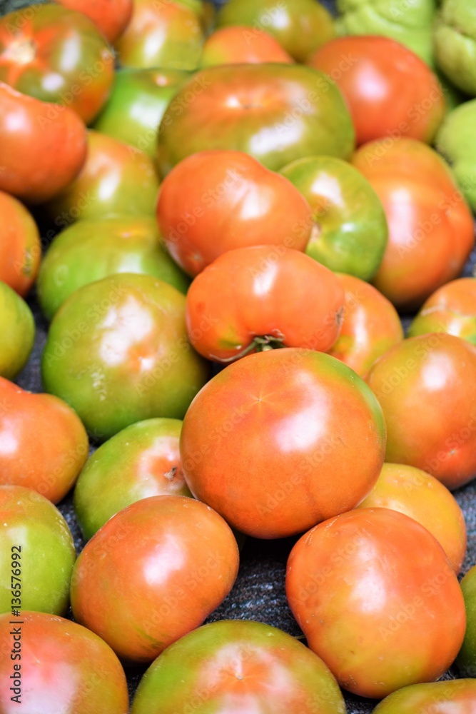 Tomaten, lateinisch Solanum lycopersicum, teilweise noch nicht ganz reif und grün Tomaten, lateinisch Solanum lycopersicum, teilweise noch nicht ganz reif und grün