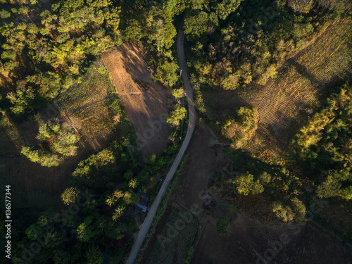 Aerial view of asphalt road, farm and forest at dawn