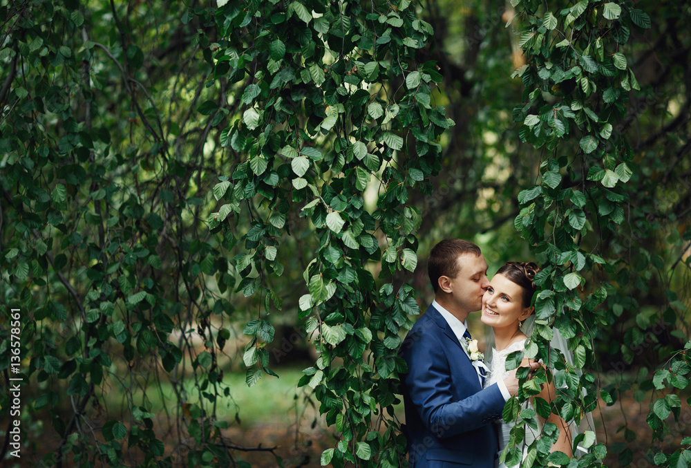 happy man kissing his bride on the cheek happy man kissing his bride on the cheek