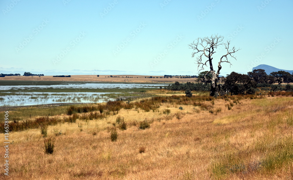 Lake Muirhead in Yarram Park, Grampians National Park Victoria Australia. Lake Muirhead in Yarram Park, Grampians National Park Victoria Australia.