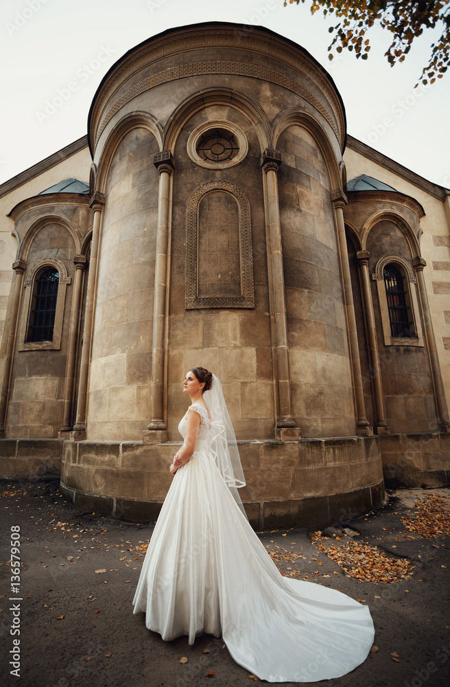 bride in a white dress on a background of beautiful buildings