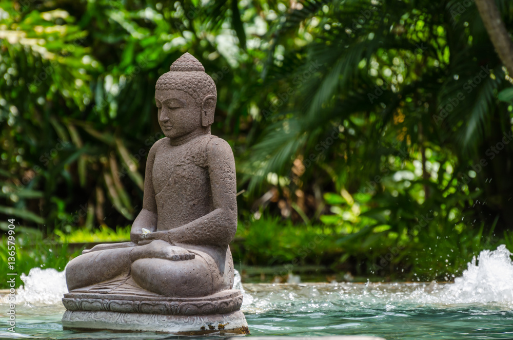 budda statue bei schwimmteich