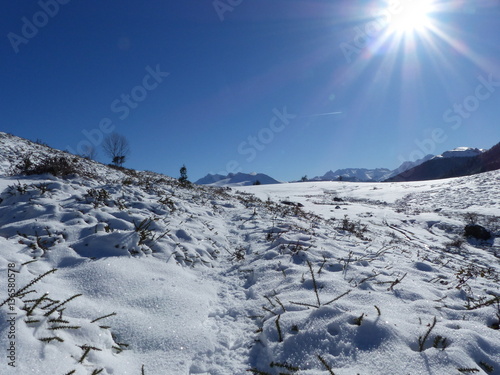 au plateau du Benou photo