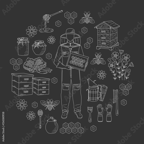 Beekeeping honey collection vector