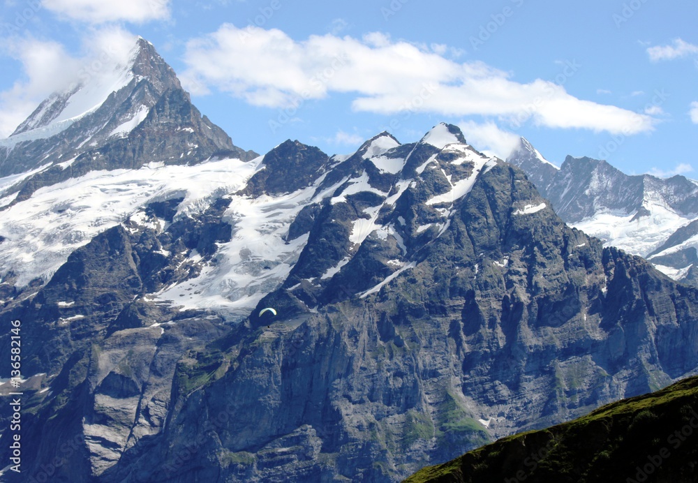 Obraz premium Berge rund um Grindelwald