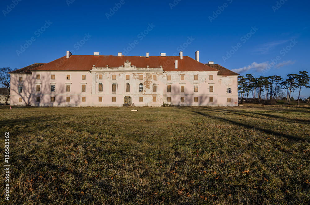 altes schloss und wiese