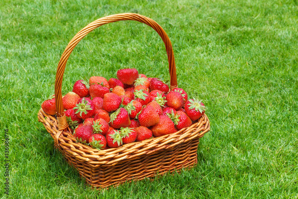 Fresh strawberries in a basket Fresh strawberries in a basket