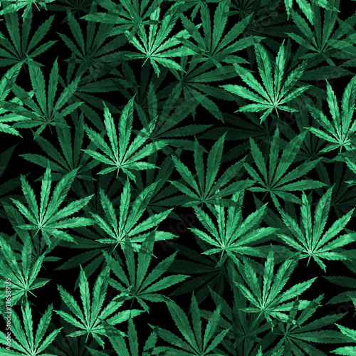 Crowd of Cannabis leaves on black background © chumakova