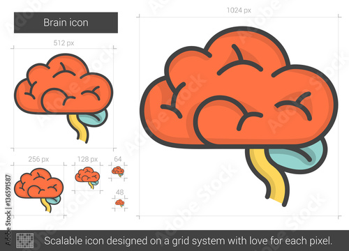 Brain line icon.