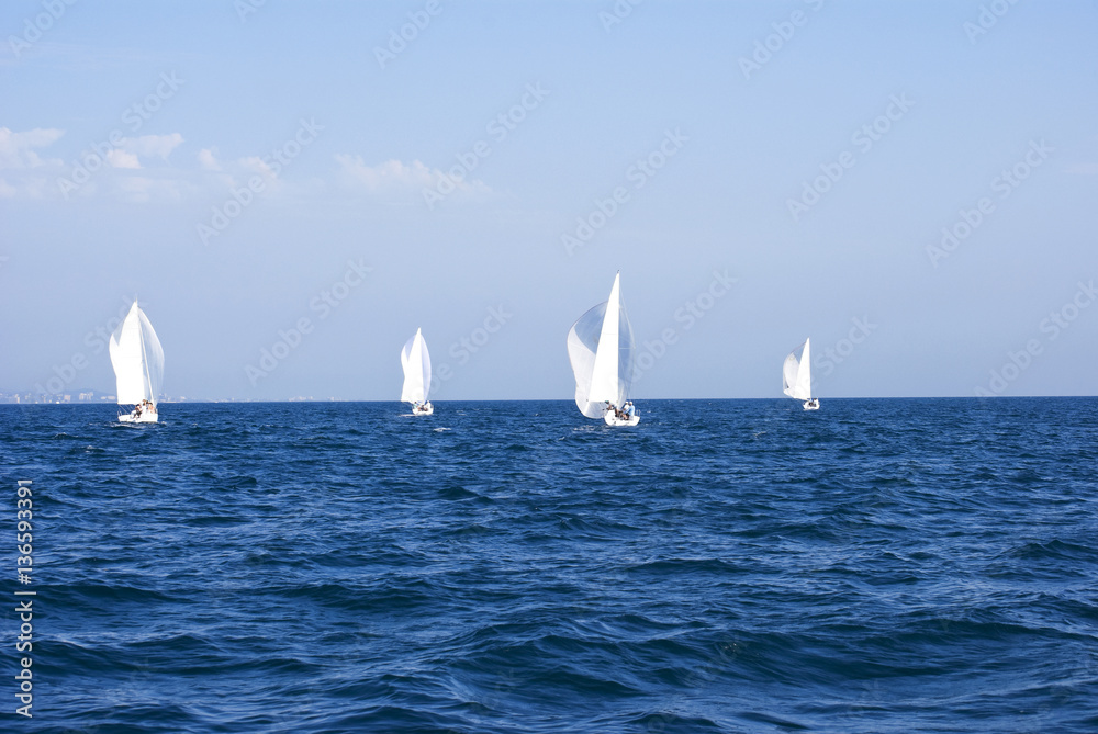 Sailing yachts on the Black sea, Sochi
