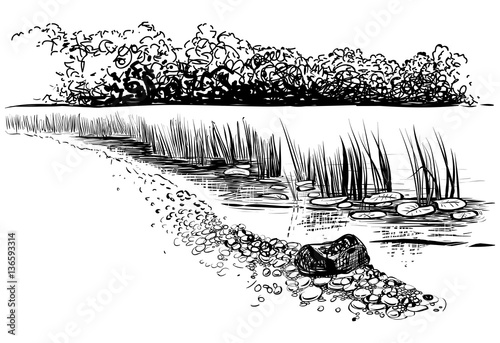 Bank of the river with reed and cattail. Sketchy style.