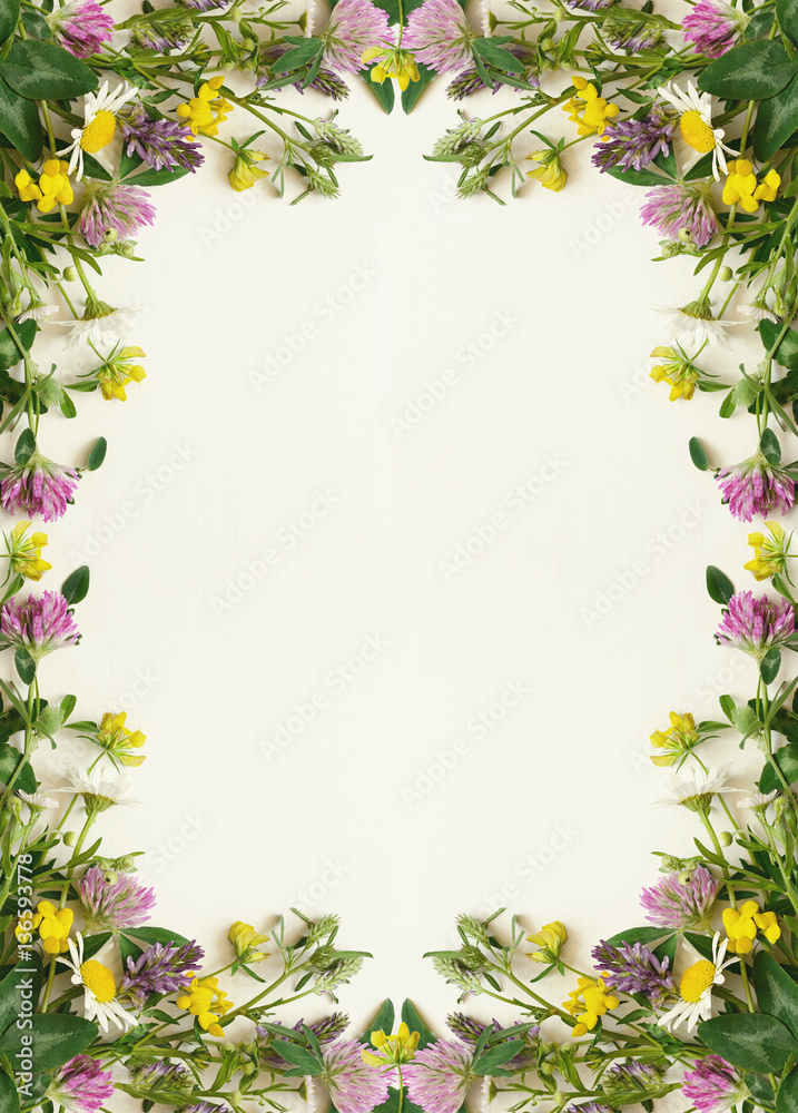 Fototapeta premium Wild flowers frame