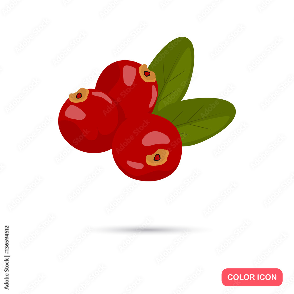 Cranberry color icon. Cartoon style for web and mobile design vector de Stock Adobe Stock