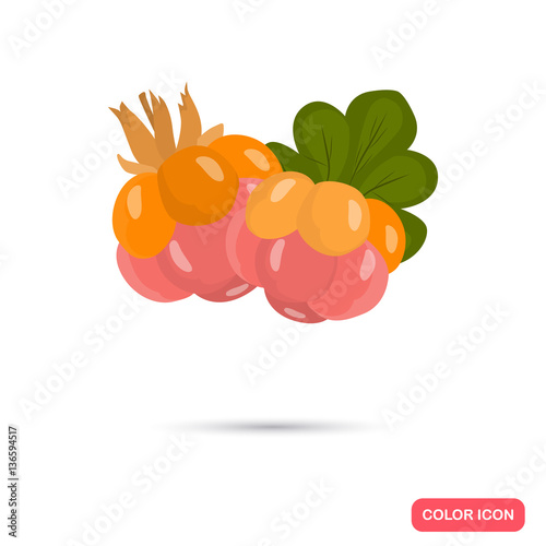 Cloudberries color icon. Cartoon style for web and mobile design