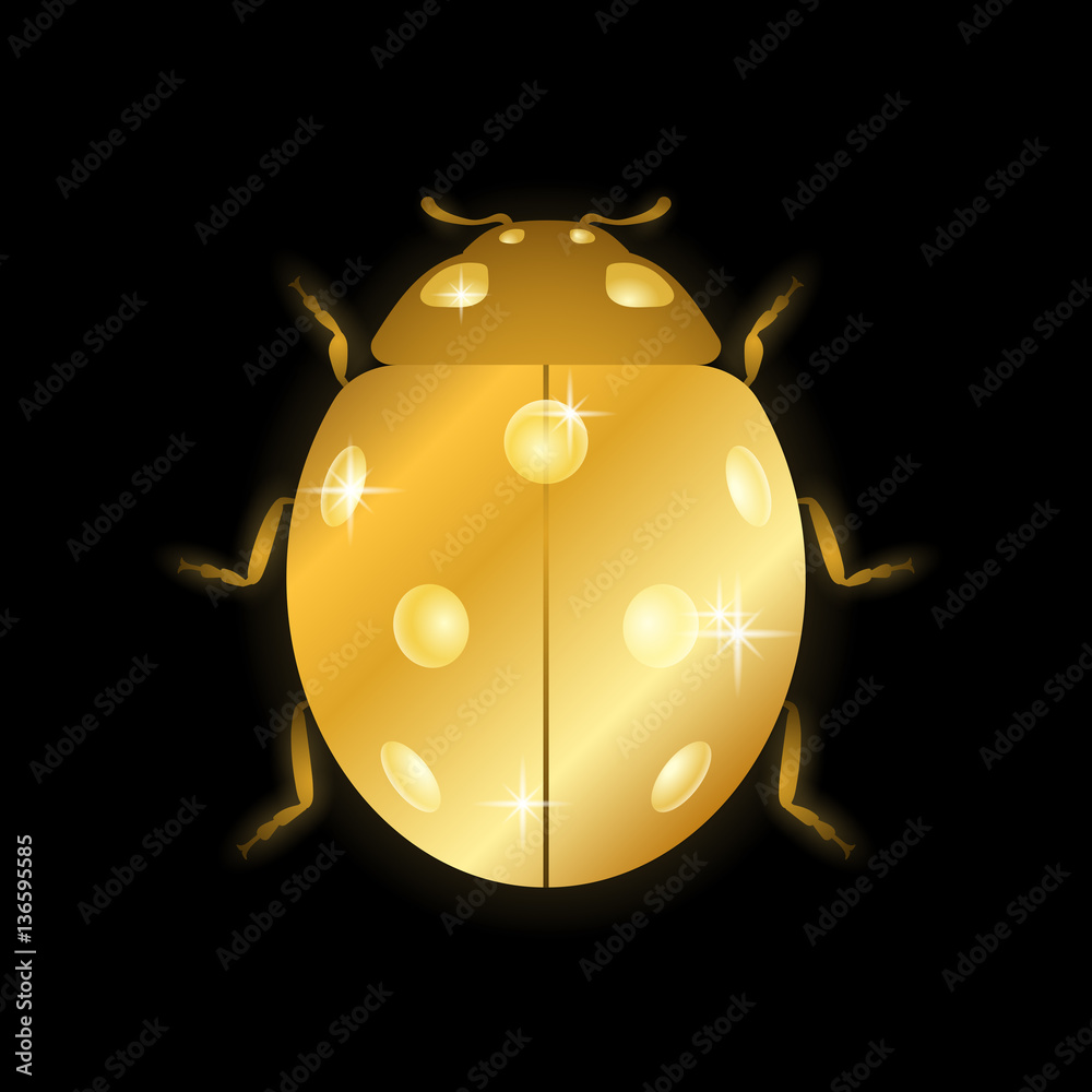 Fototapeta premium Ladybug gold insect small icon. Golden metal lady bug animal sign, isolated on black background. 3d volume bright design. Cute shiny jewelry ladybird. Lady bird closeup beetle. Vector illustration
