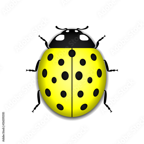 Ladybug small icon. Yellow lady bug sign, isolated on white background. 3d volume design. Cute colorful ladybird. Insect cartoon beetle. Symbol of nature, spring or summer. Vector illustration © alona_s