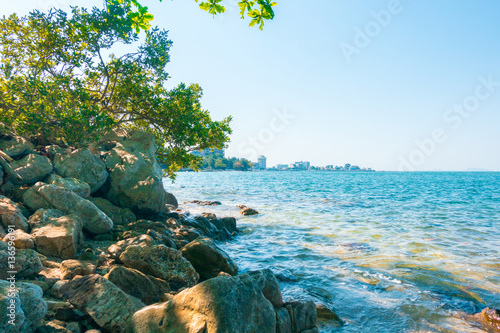 Fototapeta Naklejka Na Ścianę i Meble -  Calm Sea Ocean with tree And rocks Blue Clear Sky on sandy beach Seascape Background .