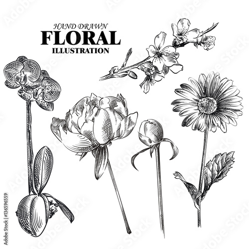 Set of flowers sketches isolated on white background. Hand-drawn Sakura, peonies, chamomile, orchid, sketches. Retro hand-drawn floral vector illustration.