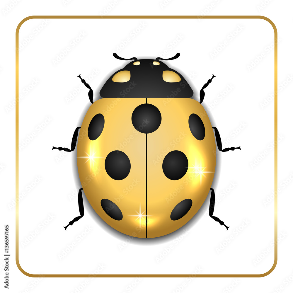 Ladybug gold insect small icon. Golden metal lady bug animal sign, isolated on white background. 3d volume bright design. Cute shiny jewelry ladybird. Lady bird closeup beetle. Vector illustration Ladybug gold insect small icon. Golden metal lady bug animal sign, isolated on white background. 3d volume bright design. Cute shiny jewelry ladybird. Lady bird closeup beetle. Vector illustration