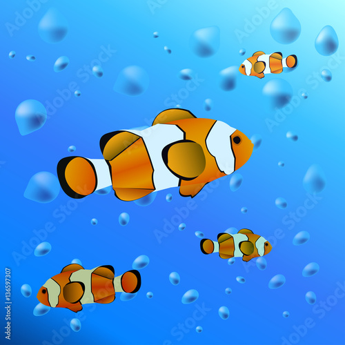 aquarium fish in the water - Vector illustration of clownfish