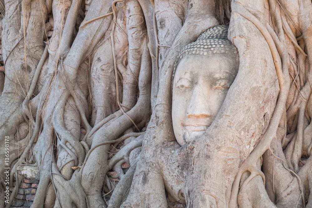 Head of Buddha statue in the tree roots at Wat Mahathat temple,