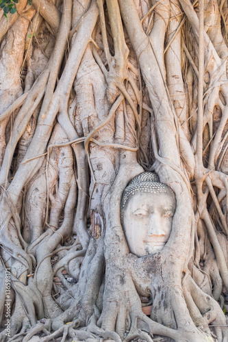 Obraz na płótnie Head of Buddha statue in the tree roots at Wat Mahathat temple, w salonie