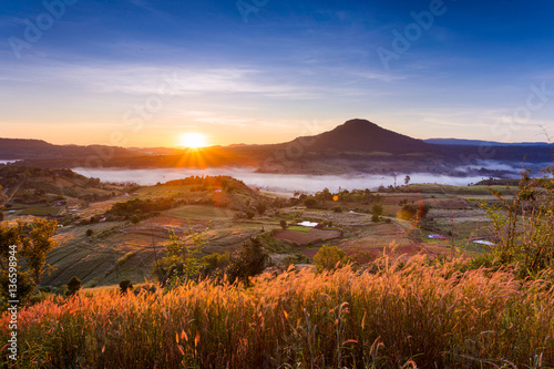Khao Takhian Ngo in Petchabun thailand