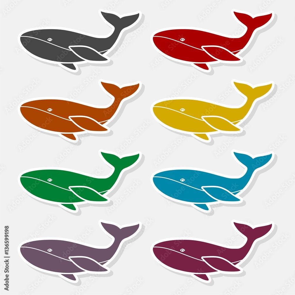 Naklejka premium Vector image of a big whale - Illustration
