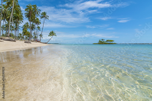 Fototapeta Naklejka Na Ścianę i Meble -  Tropical beach with emerald water in Brazil