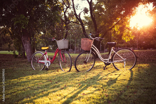 Two bicycle parking in park as romantic