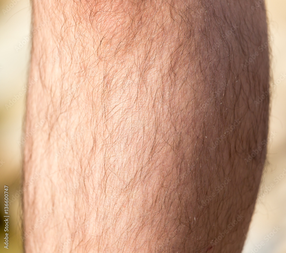 Fototapeta premium leg man. macro