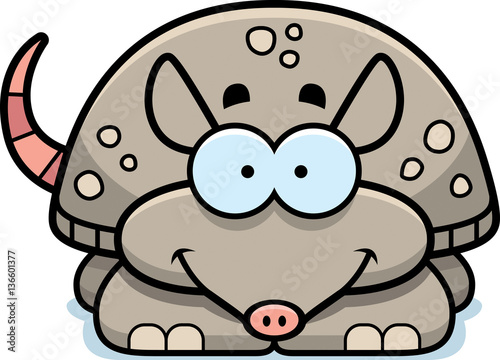 Smiling Little Armadillo