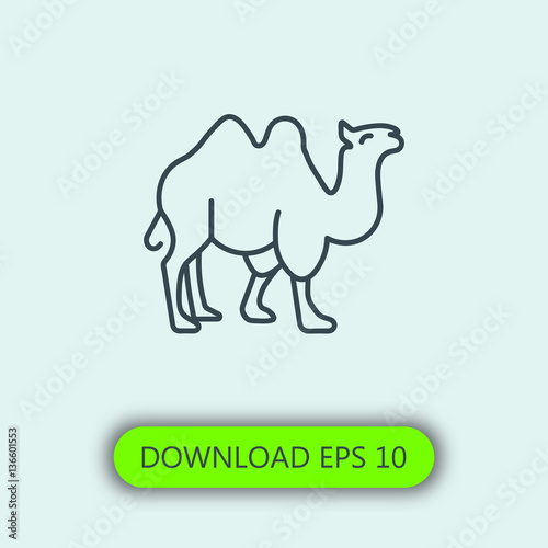 Camel icon vector