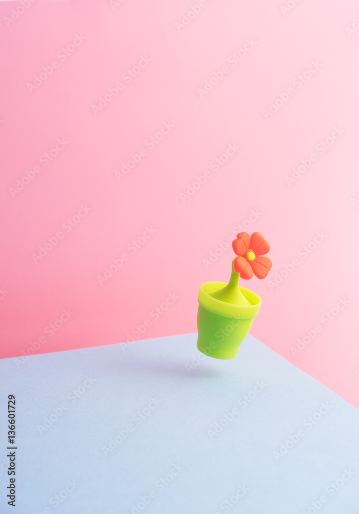 Cute Orange Flower