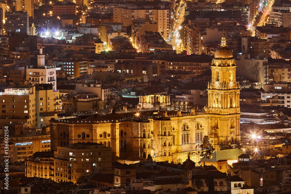 Cathedral of Malaga at night