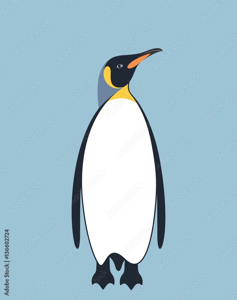 Obraz premium Penguin. King Penguin