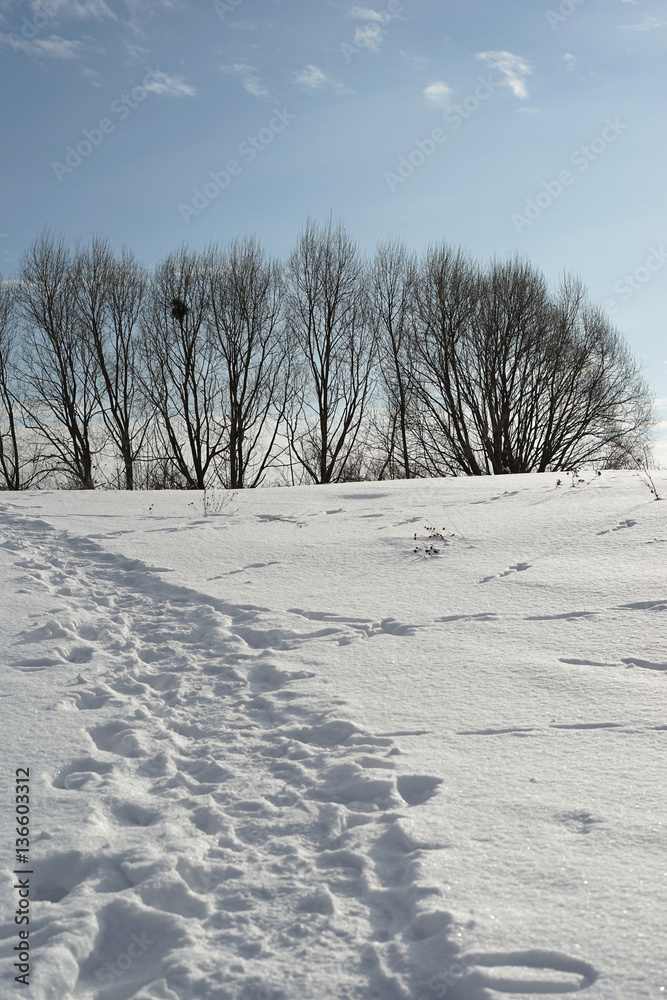 winter winter