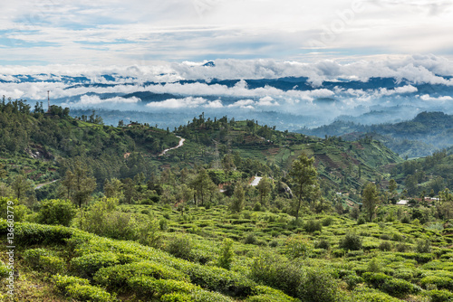Landschaft in den Bergen von Sri Lanka
