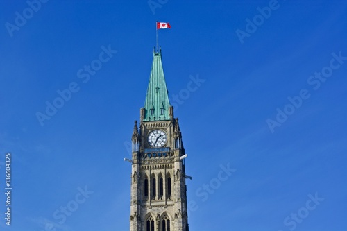 Roof of historic building