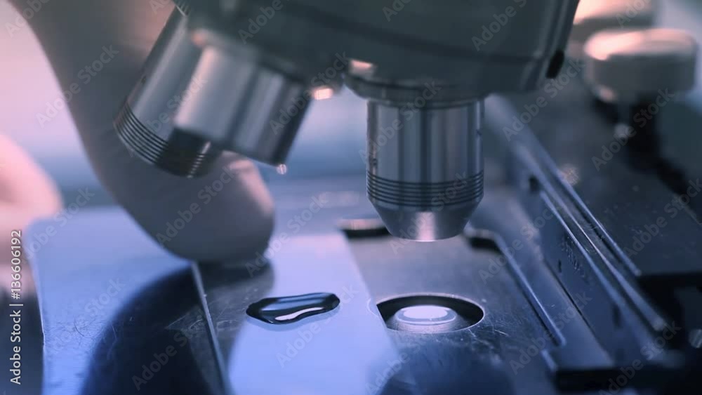 A scientist places a slide on the specimen stage of a laboratory microscope and then makes adjustments to the focus. A scientist places a slide on the specimen stage of a laboratory microscope and then makes adjustments to the focus.