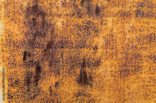 Texture of old rusty metal